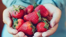 خواص شگفت انگیز توت فرنگی برای معده 