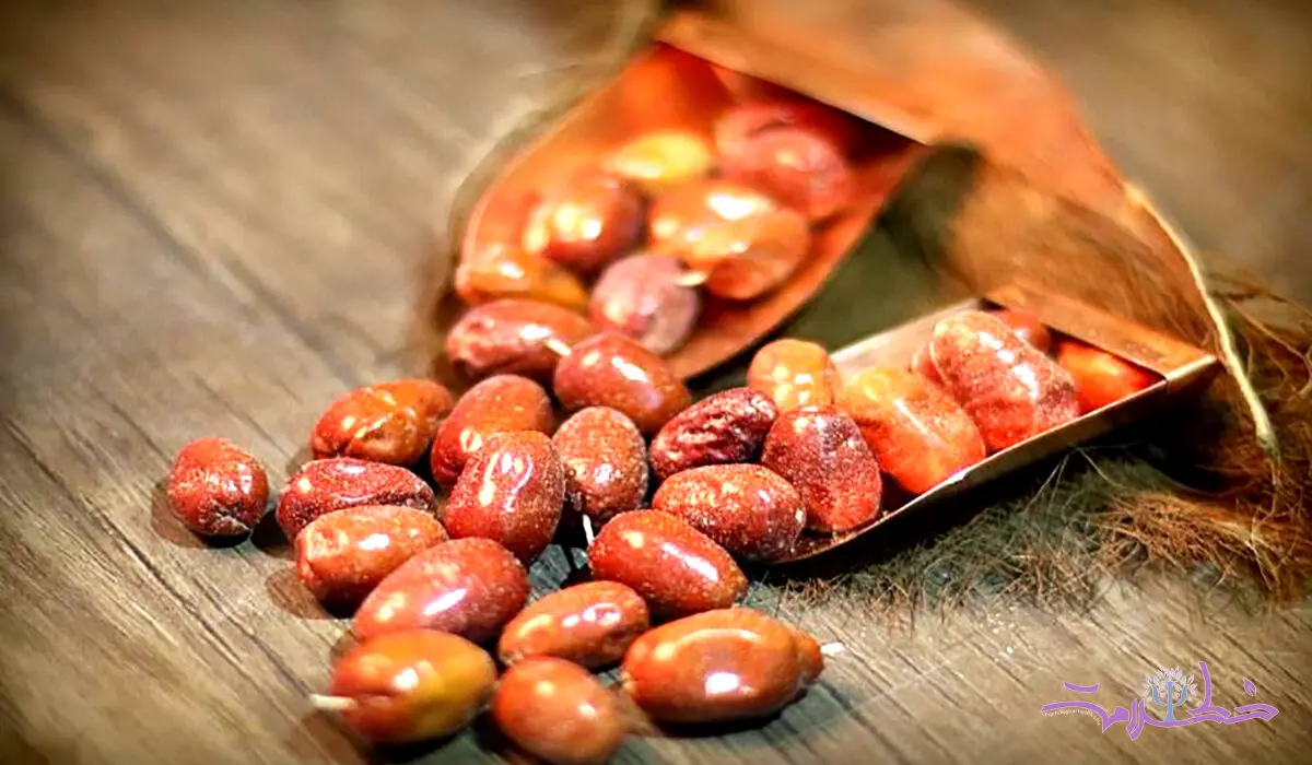 خواص سنجد برای تقویت سیستم ایمنی
