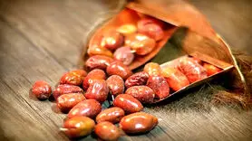 خواص سنجد برای تقویت سیستم ایمنی