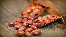 خواص سنجد برای تقویت سیستم ایمنی