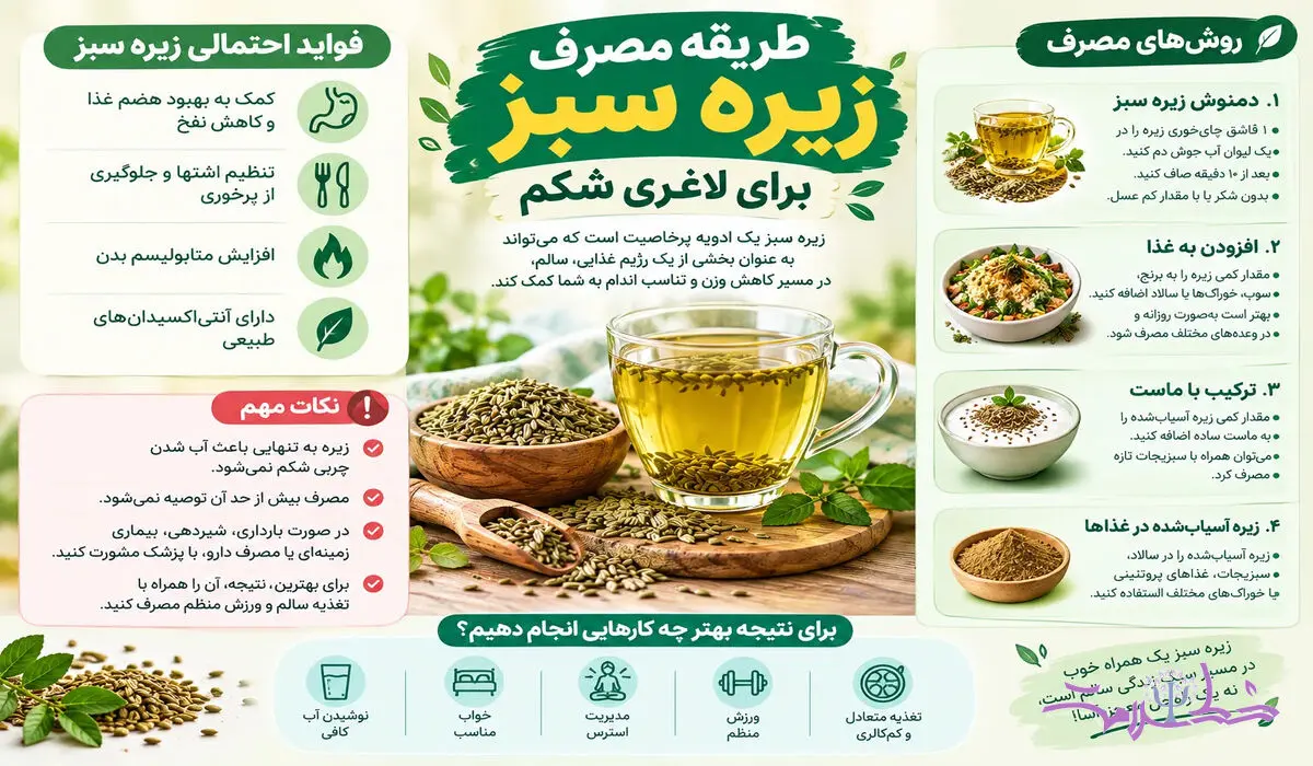 طریقه مصرف زیره سبز برای لاغری شکم؛ روش‌های مصرف و نکات مهم