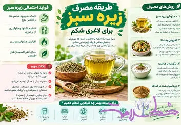 طریقه مصرف زیره سبز برای لاغری شکم؛ روش‌های مصرف و نکات مهم