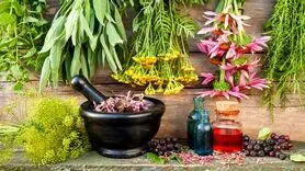 مؤثرترین گیاهان برای تقویت حافظه و تمرکز
