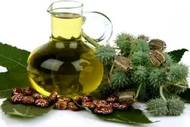قدیمی ترین داروی گیاهی برای درمان یبوست