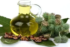 قدیمی ترین داروی گیاهی برای درمان یبوست