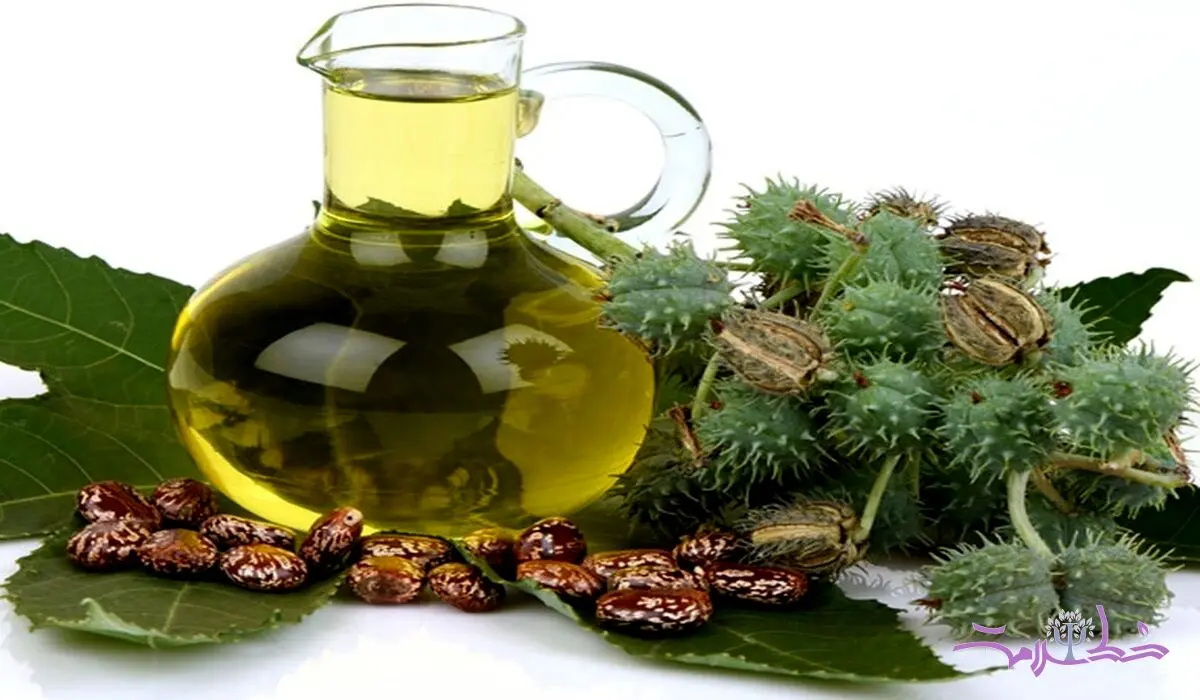 قدیمی ترین داروی گیاهی برای درمان یبوست