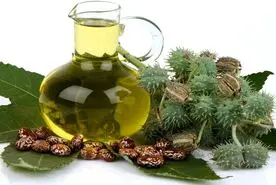 قدیمی ترین داروی گیاهی برای درمان یبوست