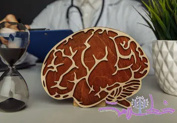 کشف عجیب چگونگی ذخیره خاطرات در مغز 
