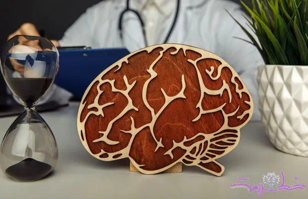 کشف عجیب چگونگی ذخیره خاطرات در مغز 