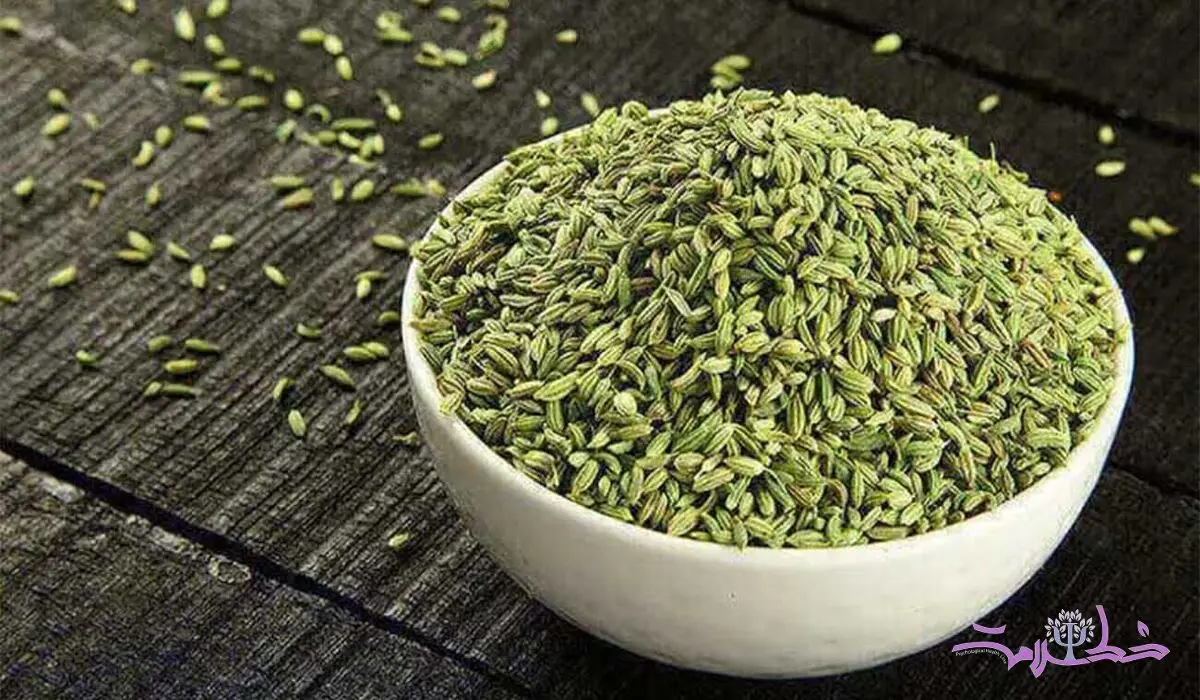 11 فایده چشمگیر علمی زیره برای سلامت 