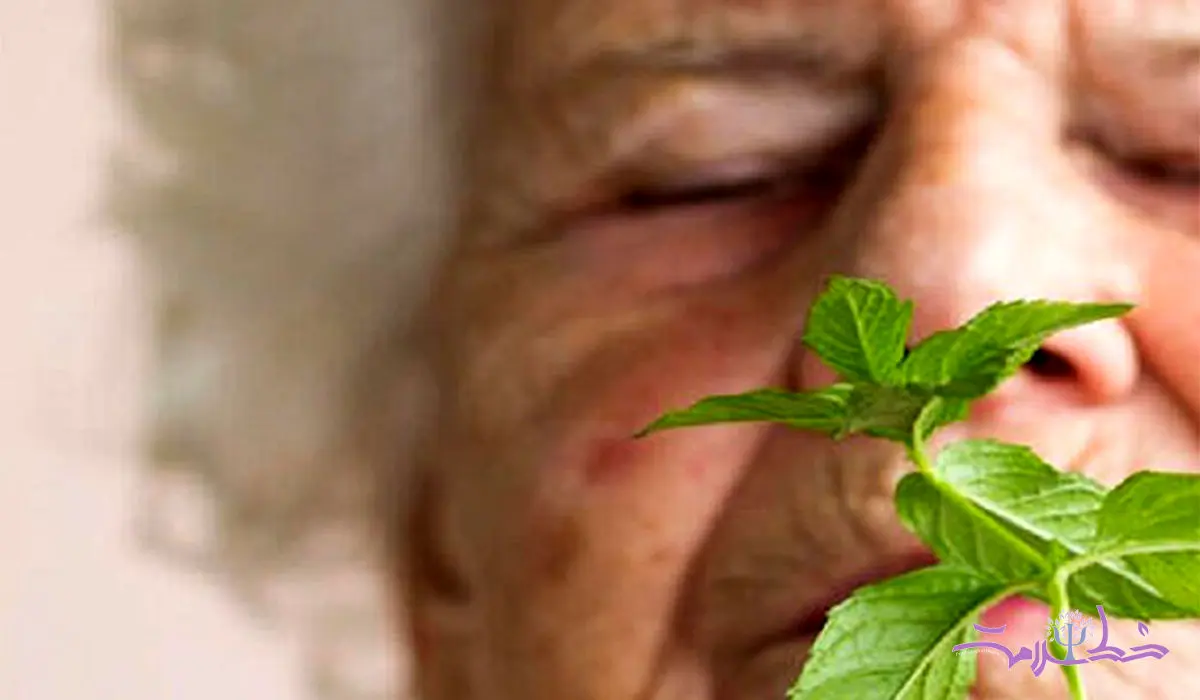 بو کردن این سبزی معطر آلزایمر را کاهش می دهد
