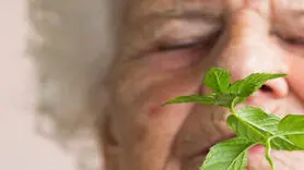 بو کردن این سبزی معطر آلزایمر را کاهش می دهد