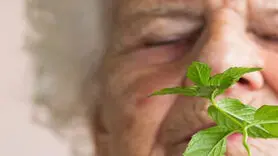 بو کردن این سبزی معطر آلزایمر را کاهش می دهد