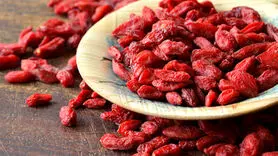  خواص توت گرگی برای پوست و بدن 