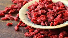  خواص توت گرگی برای پوست و بدن 