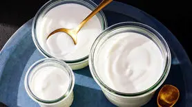 ماست با خواص درمانی شگفتانگیز برای مغز