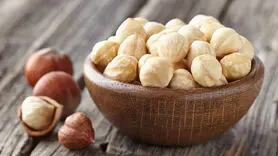 فندق را خام نخورید پزشک لازم می شوید+خواص بی نظیری دارد