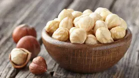 فندق را خام نخورید پزشک لازم می شوید+خواص بی نظیری دارد
