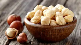 فندق را خام نخورید پزشک لازم می شوید+خواص بی نظیری دارد