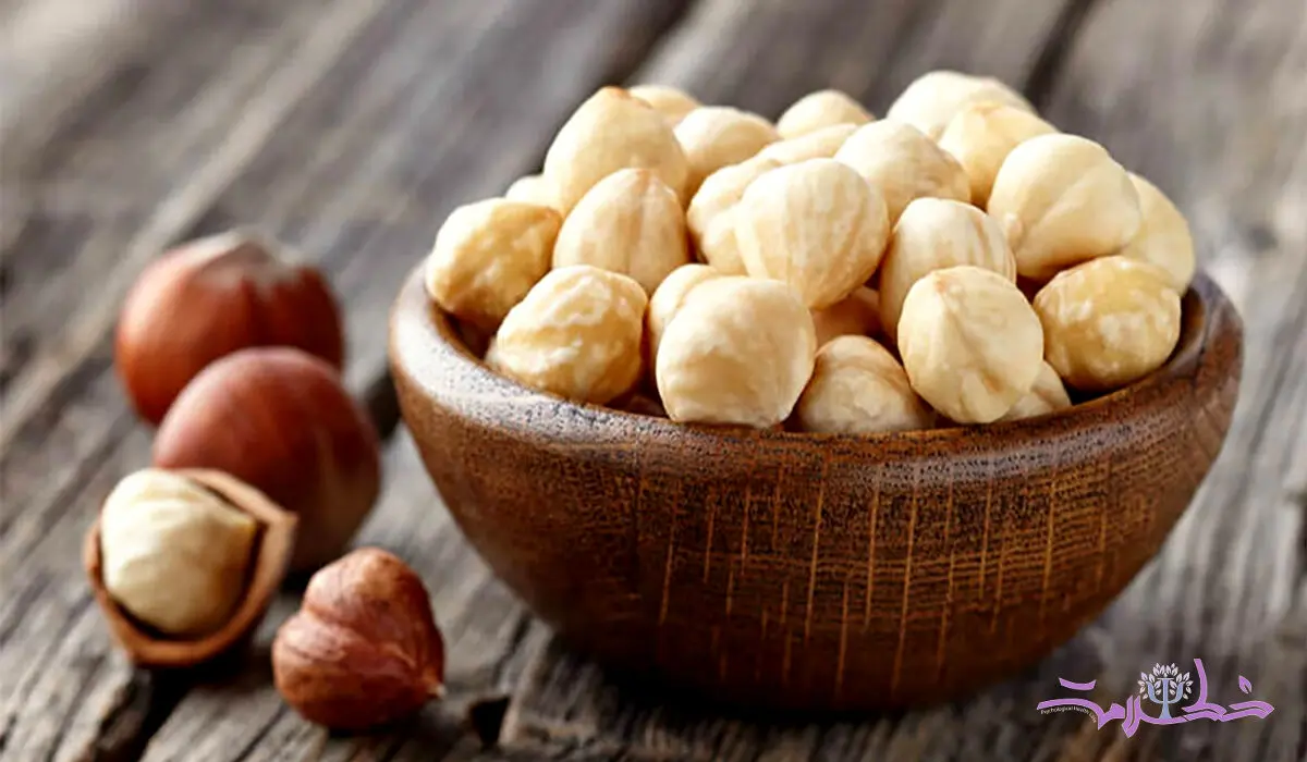 فندق را خام نخورید پزشک لازم می شوید+خواص بی نظیری دارد