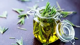 روغن رزماری برای ریزش و شوره مو مناسب است؟