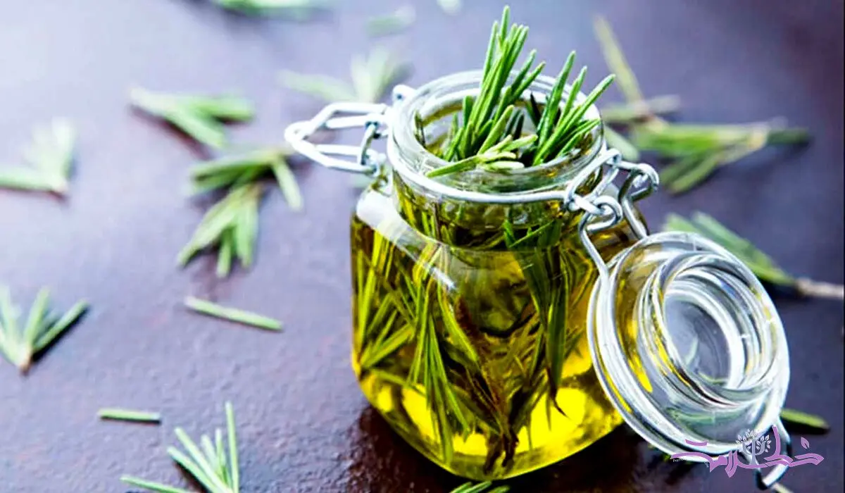 روغن رزماری برای ریزش و شوره مو مناسب است؟