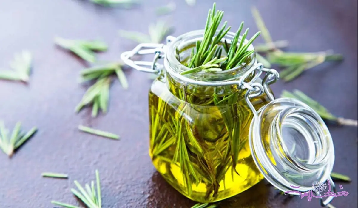روغن رزماری برای ریزش و شوره مو مناسب است؟