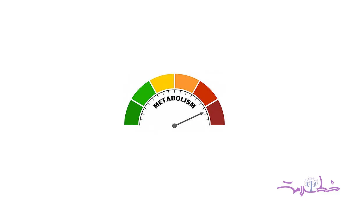 این علامت ها نشان می دهد متابولیسم تان تنبل است + راهکارهایی برای افزایش سرعت سوخت و ساز 