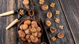 هر روز چقدر گردو بخورید تا معجزه آن را ببینید؟/ مفید ترین آجیل برای مغز