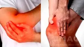 5 مورد از قویترین غضروف سازهای طبیعی