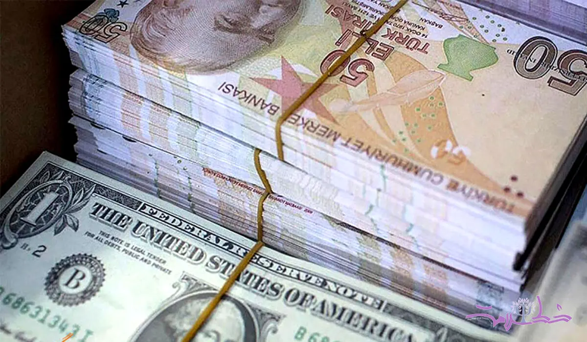 لیر ترکیه چند؟ / آخرین قیمت لیر ترکیه امروز پنج شنبه 20 دی ماه 1403