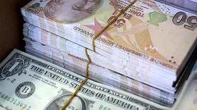 لیر ترکیه چند؟ / آخرین قیمت لیر ترکیه امروز پنج شنبه 20 دی ماه 1403