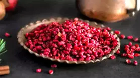 آشپزی لوکس با زرشک؛ چگونه غذاهای تان را خاص کنید!