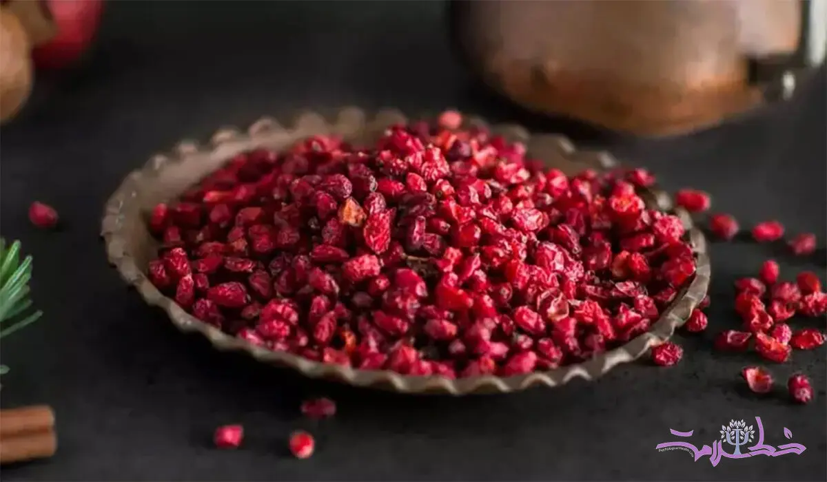 آشپزی لوکس با زرشک؛ چگونه غذاهای تان را خاص کنید!