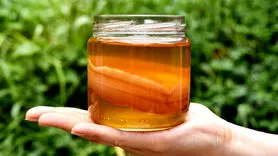 طرز تهیه کامبوجا برای تقویت گوارش / این نوشیدنی ویژه بهار و تابستان است