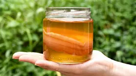 طرز تهیه کامبوجا برای تقویت گوارش / این نوشیدنی ویژه بهار و تابستان است