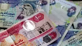  درهم امارات چند؟ آخرین قیمت درهم امارات یکشنبه ۱۴ بهمن ۱۴۰۳