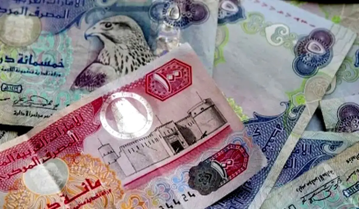  درهم امارات چند؟ آخرین قیمت درهم امارات یکشنبه ۱۴ بهمن ۱۴۰۳