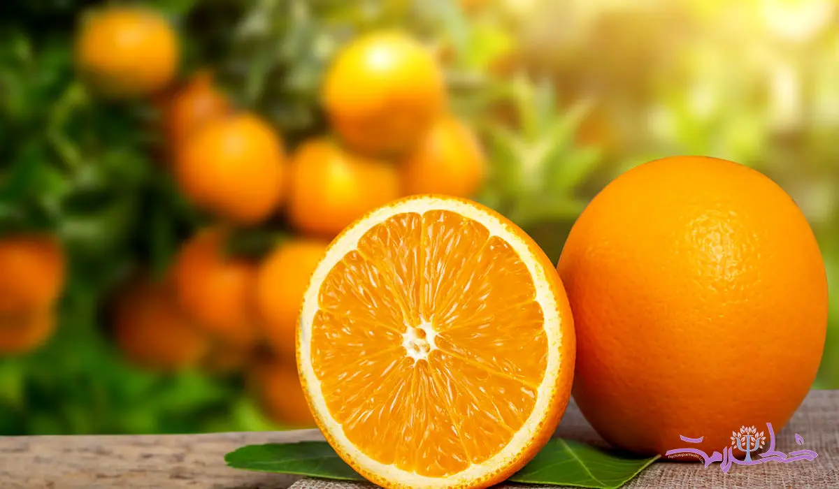 باید و نبایدهای خوردن پرتقال/ مسمومیت نارنجی را می شناسید؟