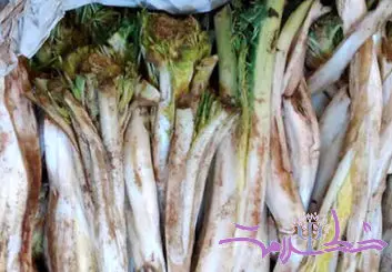 کنگر گنجینه‌ای از خواص و دستور پخت غذاهای لذیذ با آن
