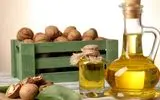 چرا باید روغن گردو مصرف کنیم؟ همه چیز درباره خواص فوق‌العاده آن