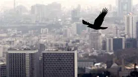  5 نکته نجات بخش از آلودگی هوا