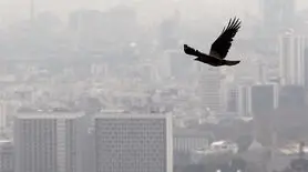  5 نکته نجات بخش از آلودگی هوا