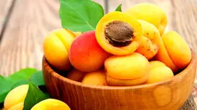  ۹ خاصیت علمی اثبات شده زردآلو 