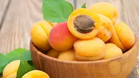  ۹ خاصیت علمی اثبات شده زردآلو 