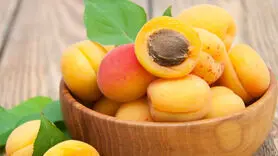  ۹ خاصیت علمی اثبات شده زردآلو 