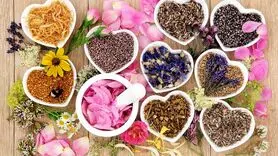 14 گیاه برای تقویت میل جنسی زنان