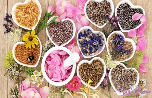 14 گیاه برای تقویت میل جنسی زنان