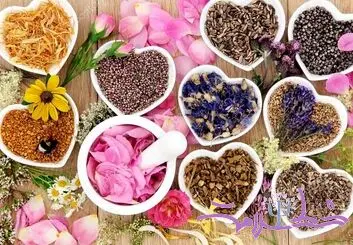 14 گیاه برای تقویت میل جنسی زنان
