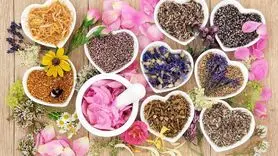 14 گیاه برای تقویت میل جنسی زنان